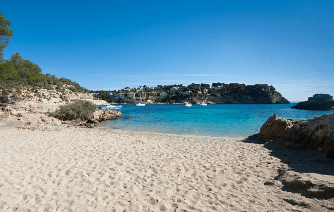 Innovación y burocracia