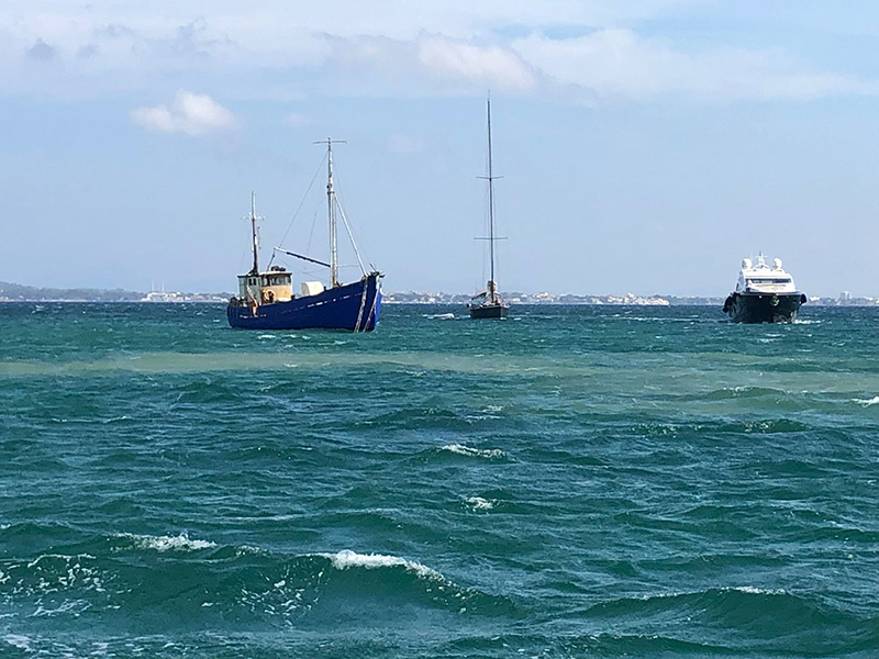 Vertido a menos de una milla de la plantación de posidonia de Pollença