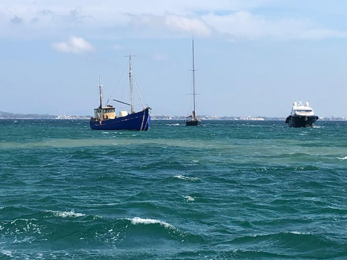 Altos niveles de contaminación junto al emisario del Port de Pollença