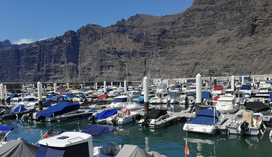 ¿Qué barcos se han comprado más este año?