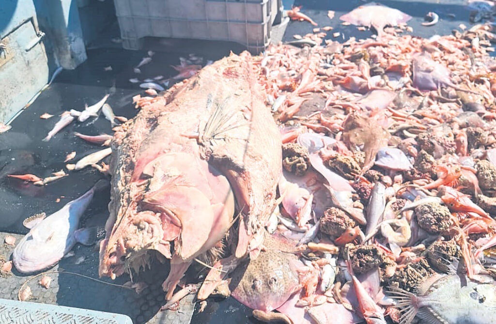 “Creemos que es más de lo que parece”