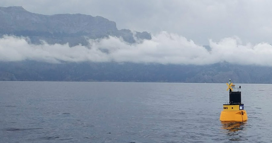 El CN Arenal reunirá a expertos en biodiversidad marina