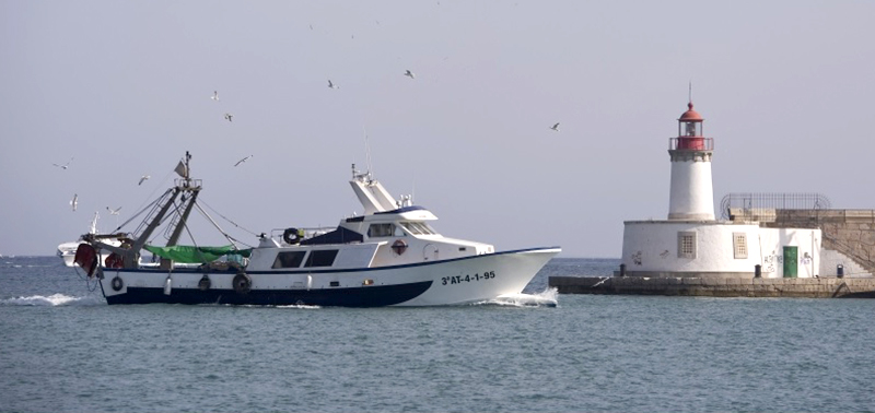 La ONU no está de acuerdo con el director general de Pesca