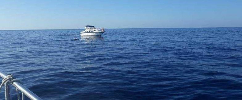 Denunciadas dos barcas por pescar en capcers de llampuga