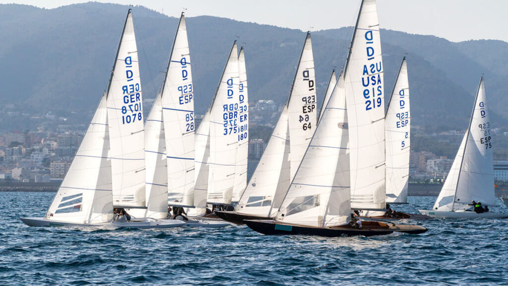 Cruceros y Dragones no se pierden el Sofía