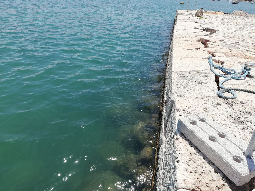 Peaje de 60.000 euros públicos para contentar a la plataforma Salvem Portocolom