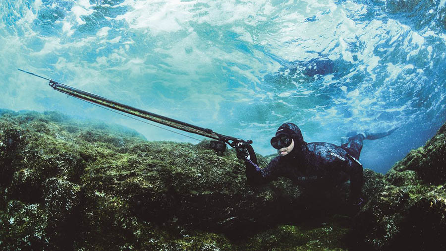 La neolengua del Govern con la pesca