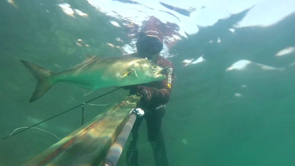 ¿Se podrá hacer pesca submarina en las reservas?