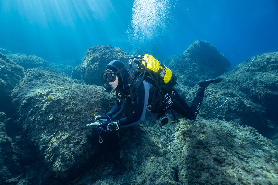 Un proyecto para documentar la recuperación en las reservas