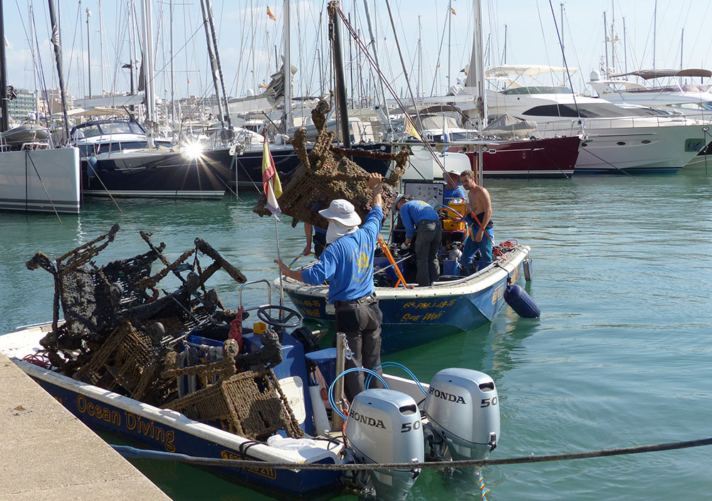 Organizan una jornada de limpieza en el puerto de Palma