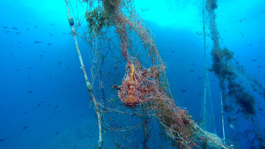 La ecotasa se olvida de sacar del mar las redes fantasma