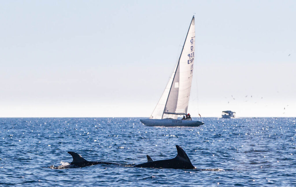 Gunter navega hacia la victoria en Puerto Portals