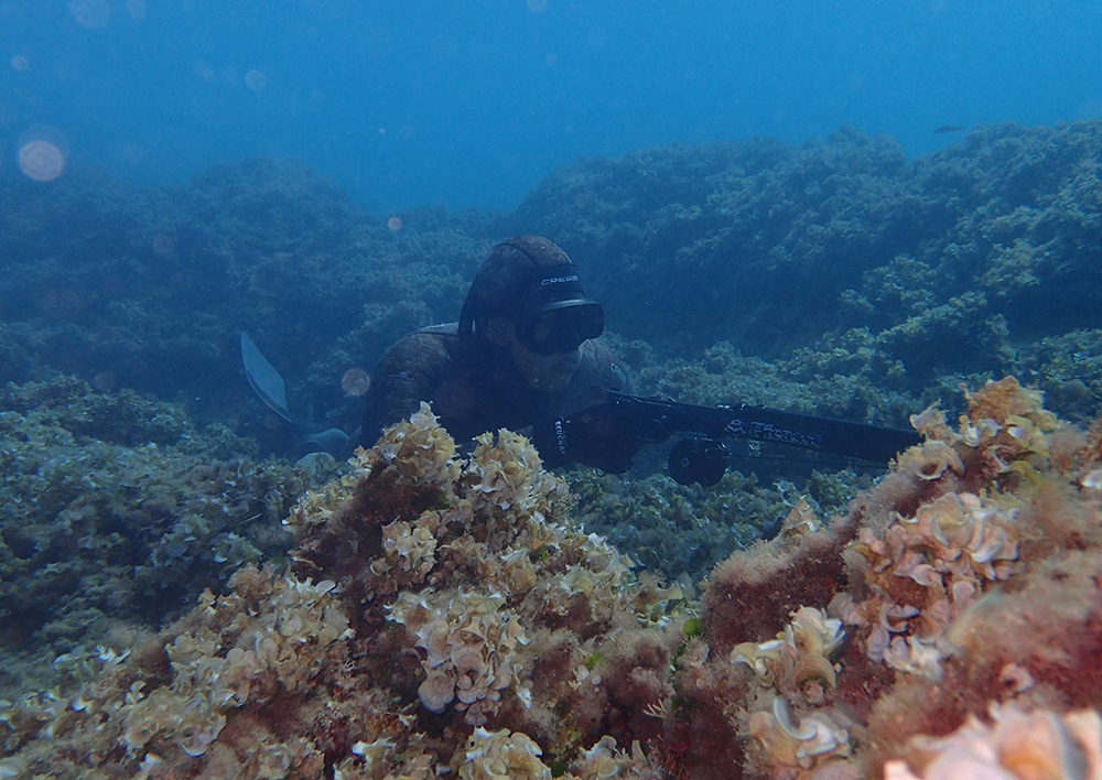 La UE recuerda que regular la pesca no implica prohibir