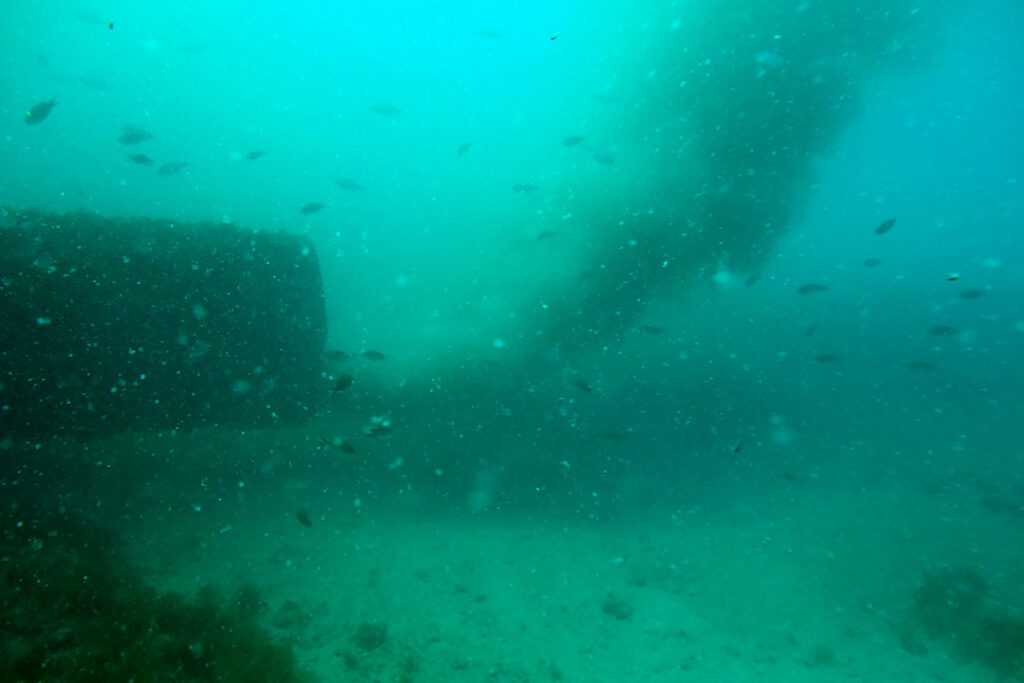 La Fiscalía corrobora la investigación de GN sobre los vertidos que han arrasado la Bahía de Palma