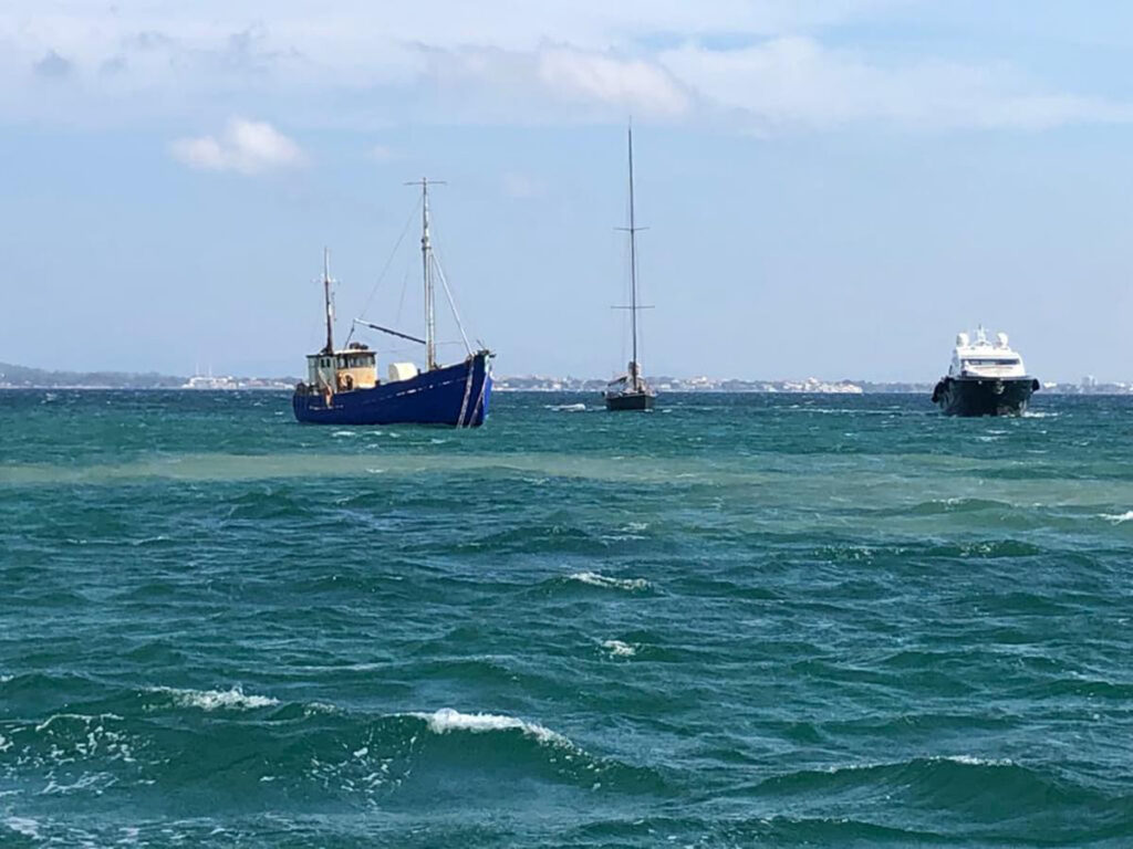 Un estudio confirma el desastre provocado por los vertidos en el Port de Pollença
