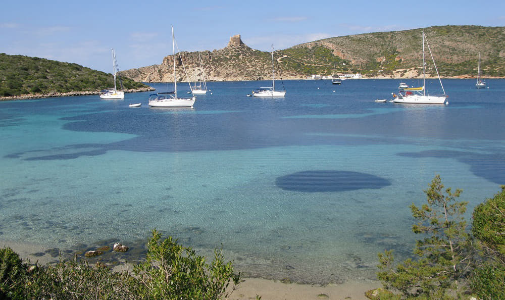 Cabrera será una de las tres patas del Observatorio Marino frente al cambio climático
