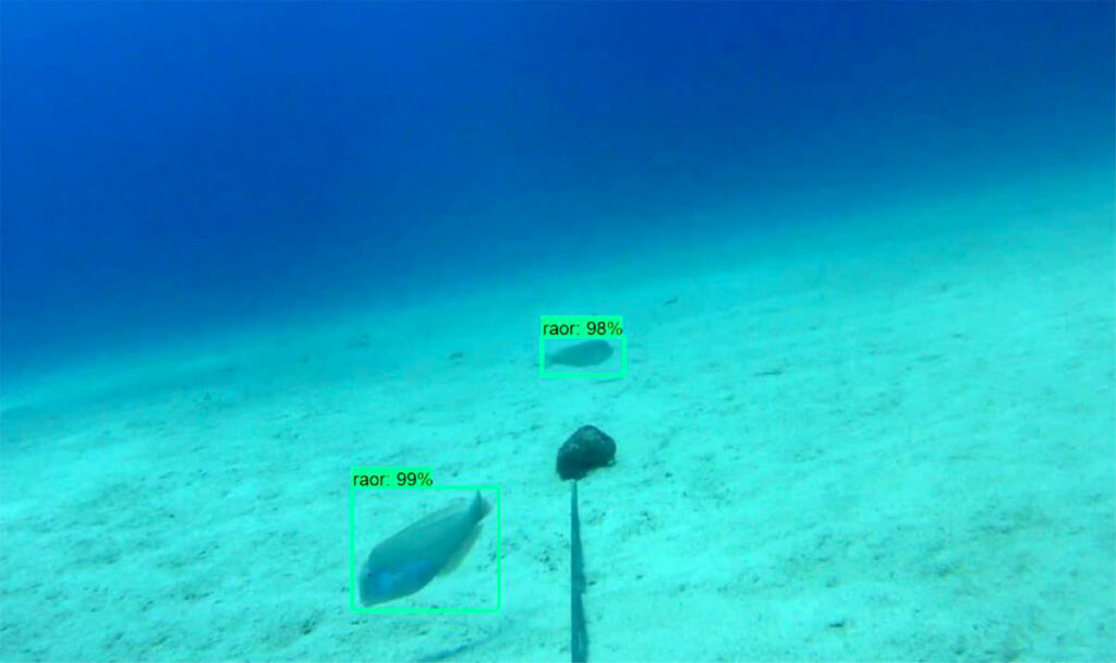 El ‘Gran Hermano’ llega a las reservas marinas