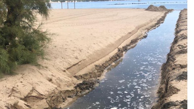 Vertidos en Pollença: “Hay zonas completamente muertas”