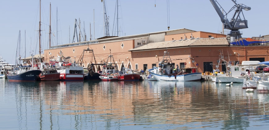 “Necesitamos un precio unificado del gasoil para todo el año”