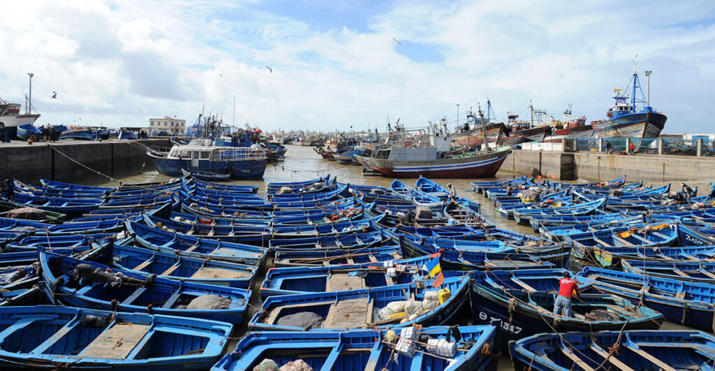 El primo del aduanero