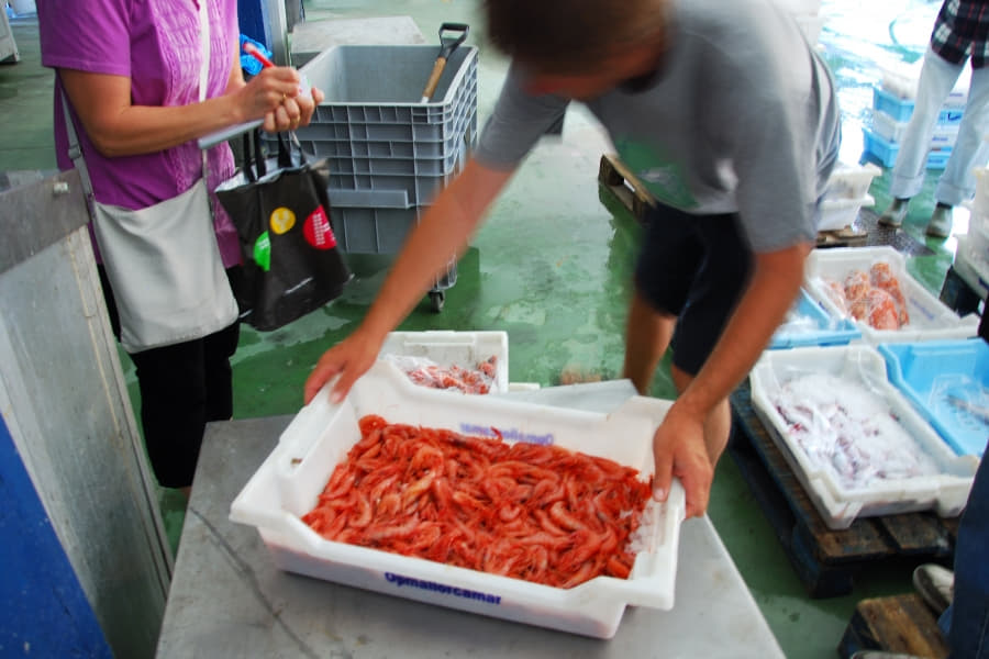 La pesca profesional dice basta