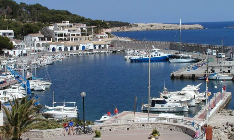 Permítanme que insista