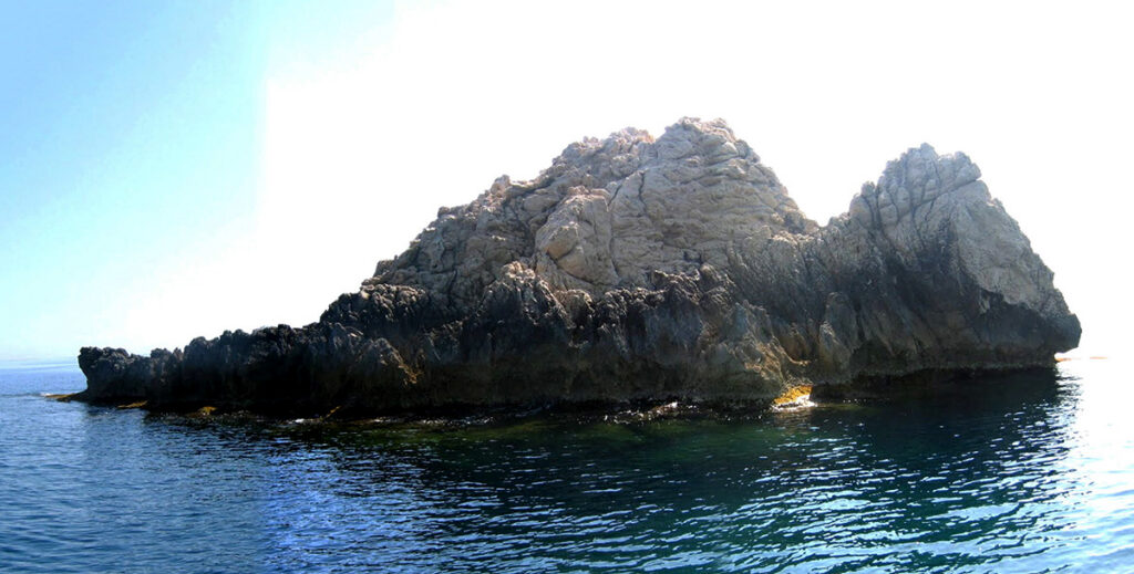 Cambien el chip: la pesca submarina no es el enemigo