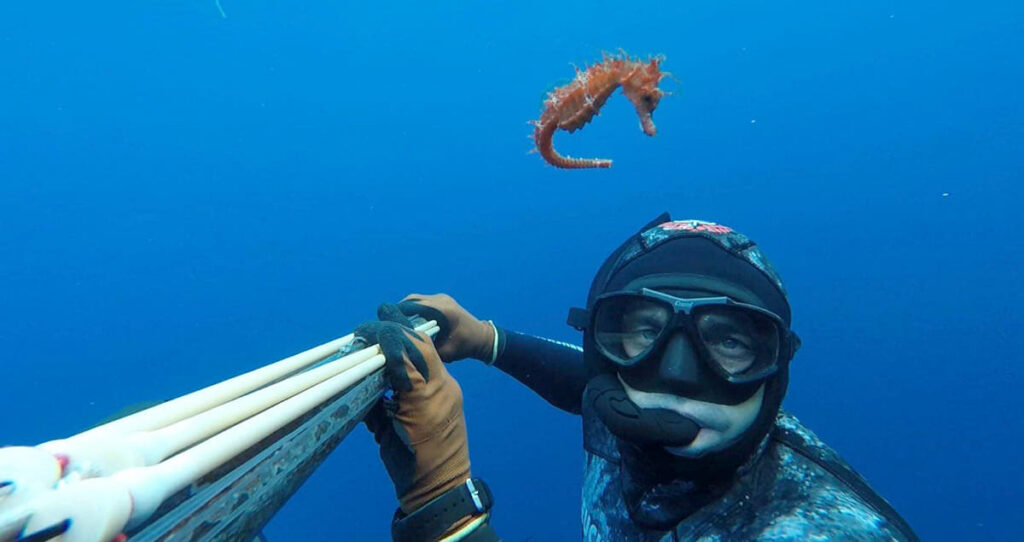 Tiro con tirachinas en las Bahamas