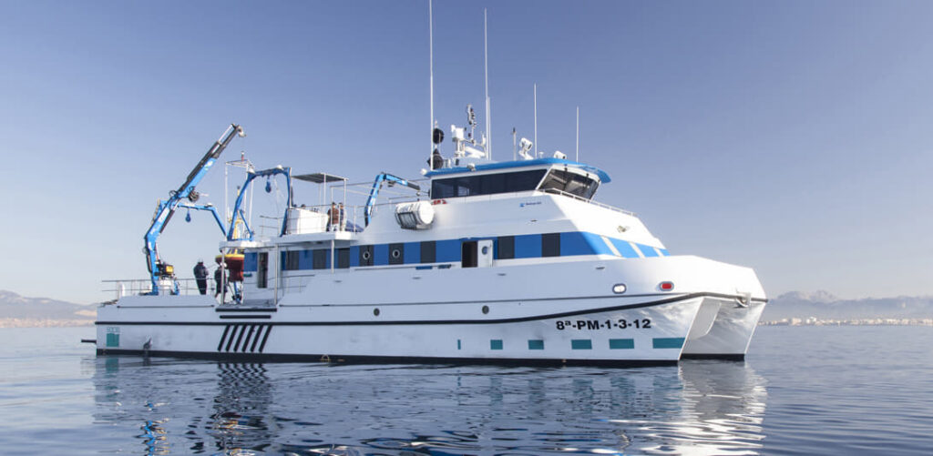 Suben los episodios de ‘fiebre’ en el Mar Mediterráneo