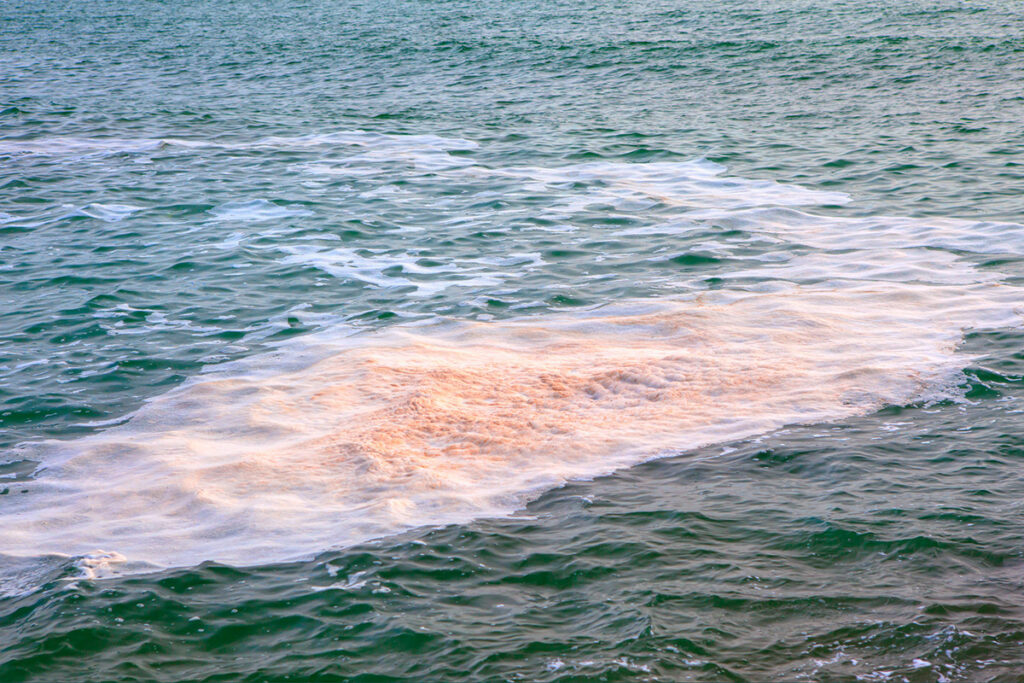 El gas de la sentina: asesino silencioso