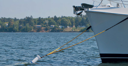 Los amarres elásticos contribuyen a una náutica más sostenible