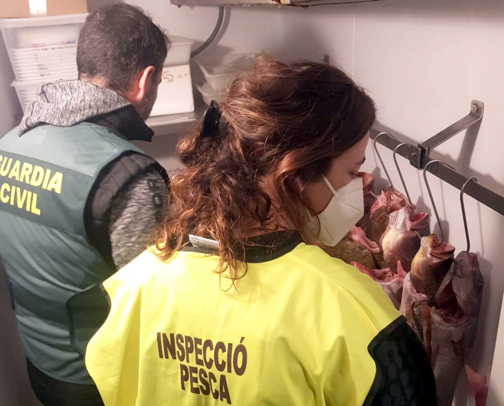 Campaña de inspección contra la pesca furtiva en Ibiza