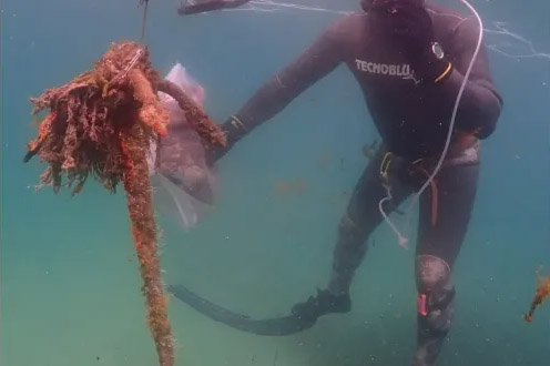 ¿Quién será capaz de recoger más basura del fondo marino?