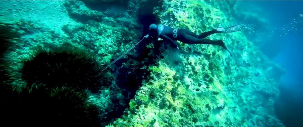 Los pescadores submarinos se defienden: “Amamos el mar, no somos depredadores”