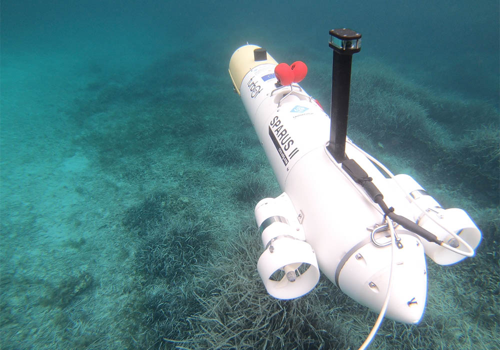 La inteligencia artificial ayudará a monitorizar los ecosistemas marinos