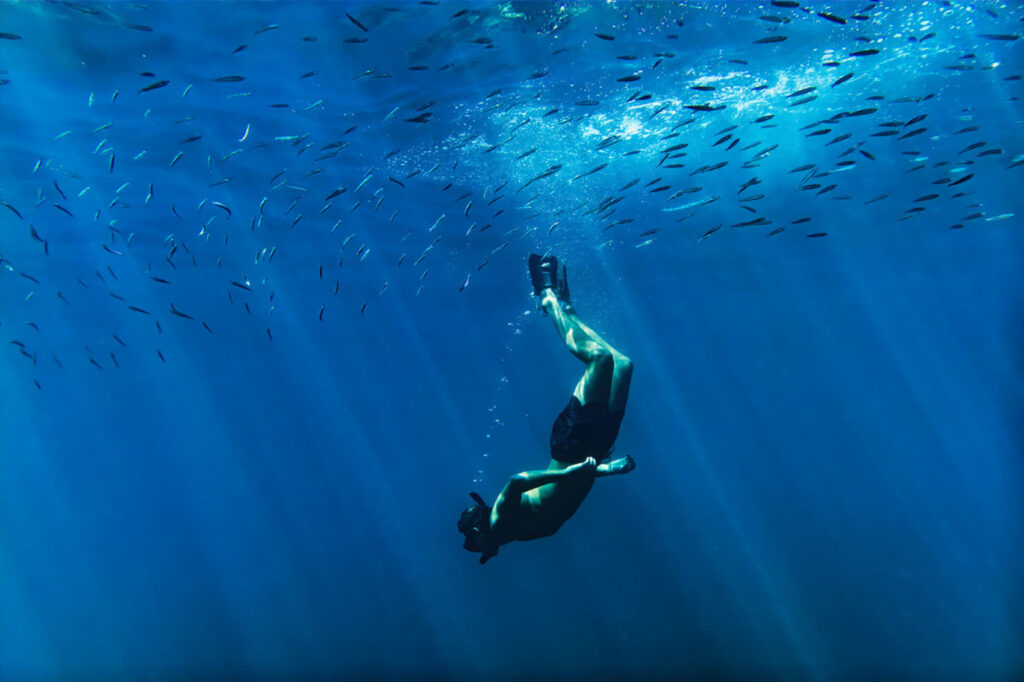 Las olas de calor marinas, asesinas silenciosas en el Mediterráneo