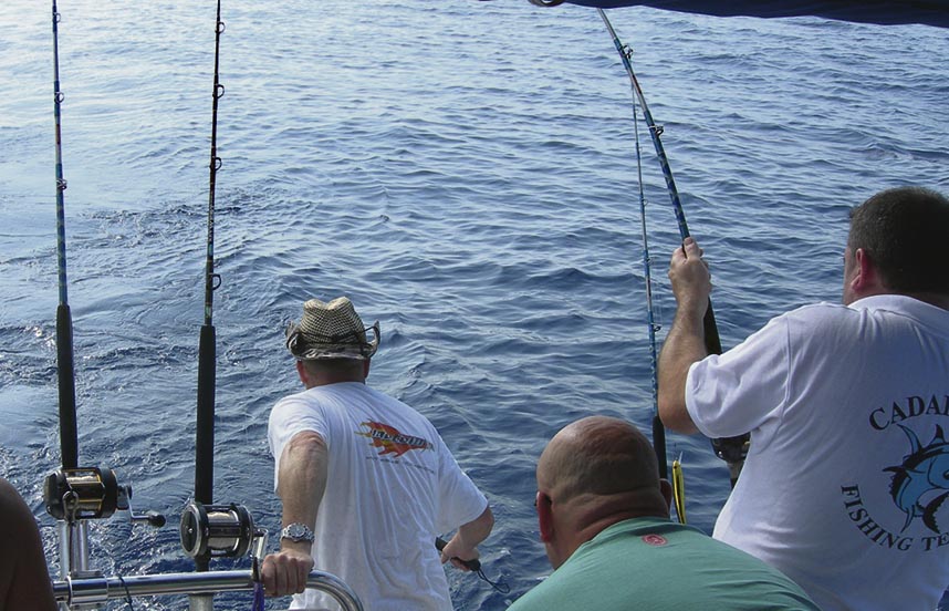 Las cifras avalan la conducta ejemplar de los pescadores en Mallorca