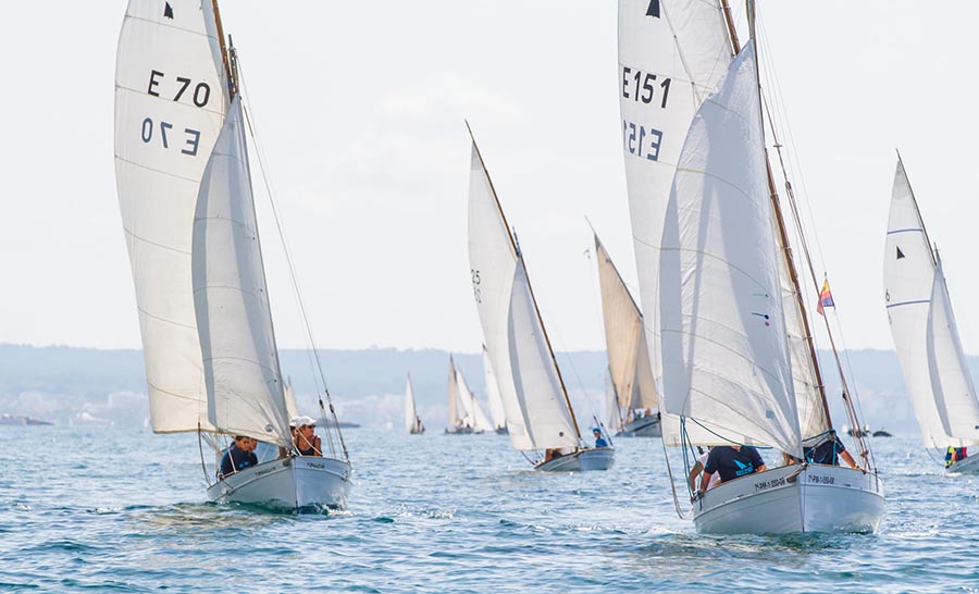La Diada de Vela Llatina convierte a Cala Gamba en epicentro del patrimonio marítimo balear
