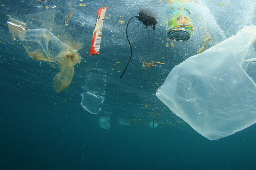 Recoger basura del mar tiene premio