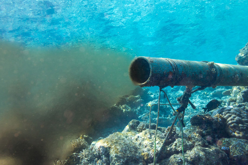 Ni un paso atrás ante  las mentiras