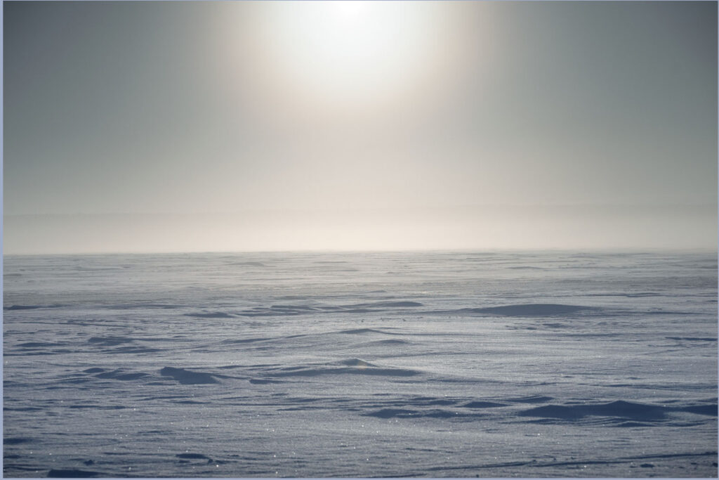 Ocho años de vacío