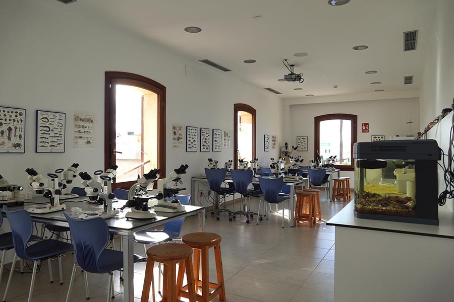 Mejorar el conocimiento del medio marino desde el Portixol