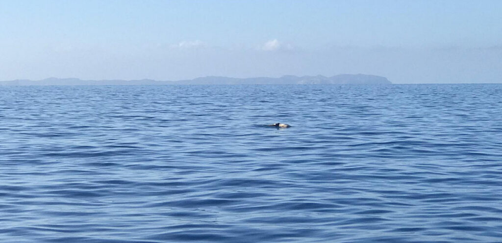 Encerrados y amenazados con machetes: así son las horas previas a la travesía de las pateras