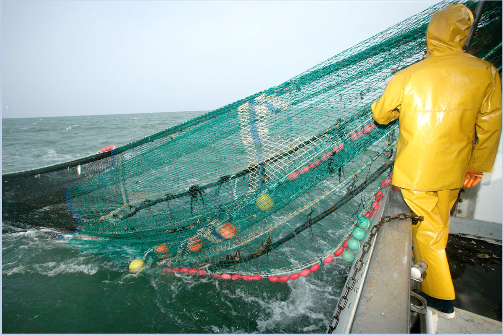 “El comisario europeo quiere acabar con la pesca de arrastre”
