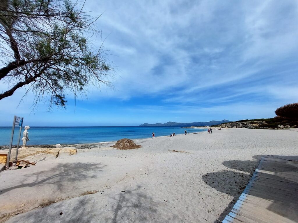 Este es el paraje donde el Gobierno balear quiere instalar una tubería de aguas residuales