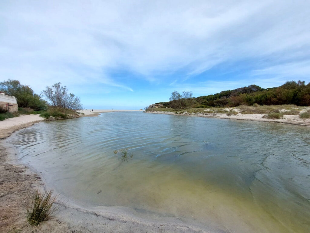 El GOB se opone también a la tubería de aguas residuales en el paraje protegido de Son Bauló
