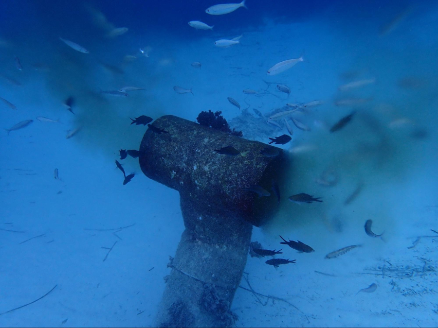 El GOB solicita que se paren los nuevos proyectos de emisarios