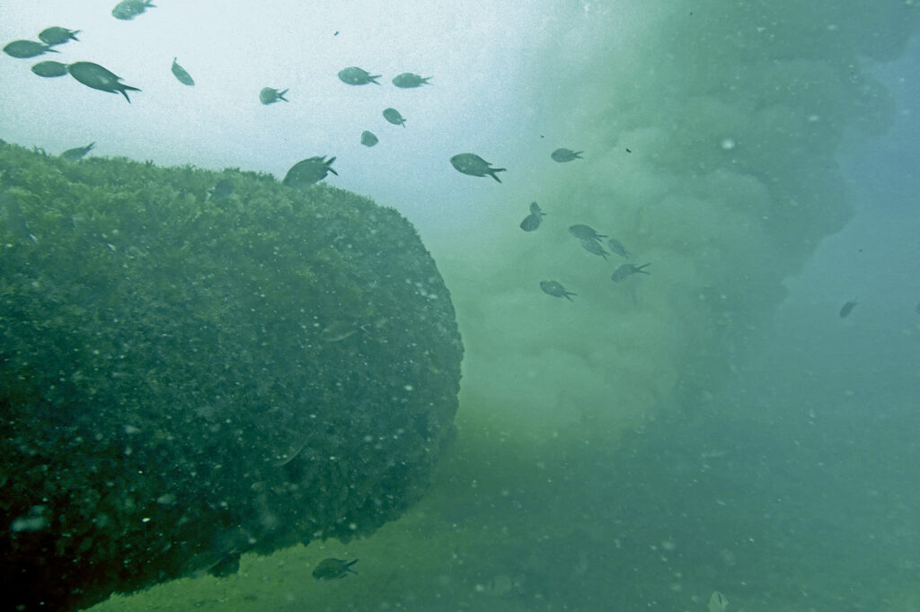 El Gobierno sólo pagará el 10% del nuevo emisario submarino de la Bahía de Palma