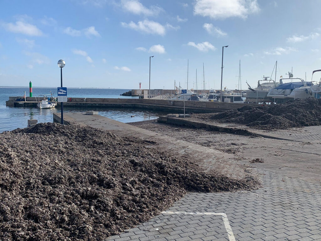 La tomadura de pelo de las rampas públicas