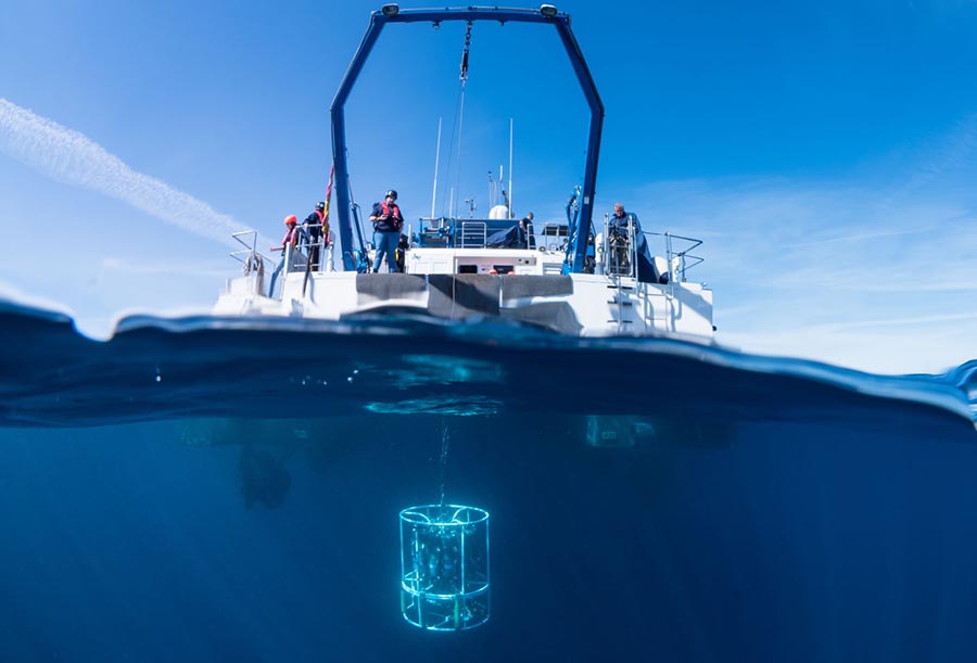El mar balear registró cinco olas marinas de calor en 2022